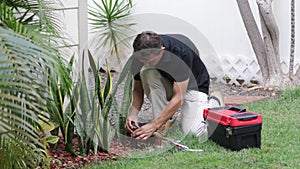 Plumber Man fixing Sprinkler Head in backyard