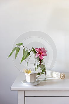 Plumberia rumba in coffe cup, eucalyptus branch in a vase and cup of coffee on a white table against a wall with two frames.