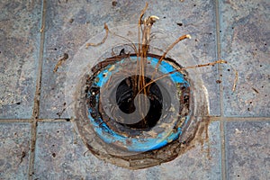 Plumbing Problem Toilet Flange Roots