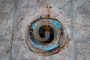 Plumbing Problem Toilet Flange Roots photo