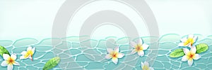 Plumeria floating on the water surface watercolor banner