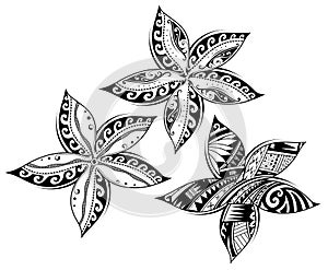 Plumeria flower as tribal style tattoo