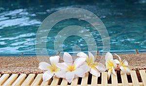 Plumeria flower and blue swimming pool rippled water detail