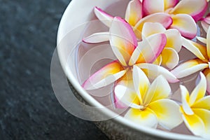 Plumeria flower floating in ceramic bowl on stone table in tropical luxury asian spa