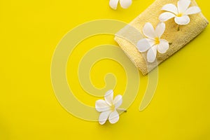 Plumeria flower on yellow background