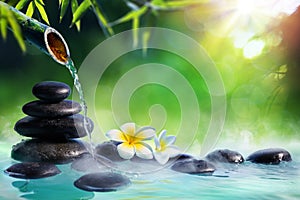 Plumeria Flowers In Japanese Fountain With Massage Stones And Bamboo