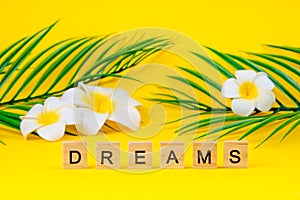 Plumeria flowers with palm leaves and with the text `dreams` on a yellow background. Summer and vacation dream concept