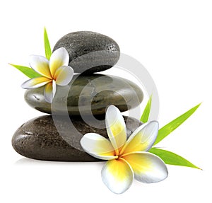 Plumeria flowers spa stones photo