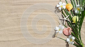 Plumeria flowers with starfish and seashells on tropical palm leaves on sand. Summer background