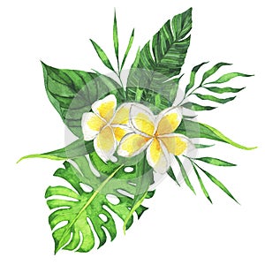 Plumeria flowers and tropical leaves bouquet. Watercolor.