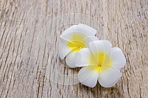 Plumeria flowers on wooden background with vintage and vignette tone