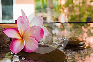 Plumeria or frangipani decorated on water and pebble rock in zen style