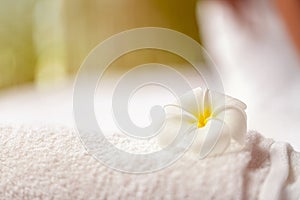 Plumeria Frangipani flower with towel  on blur background