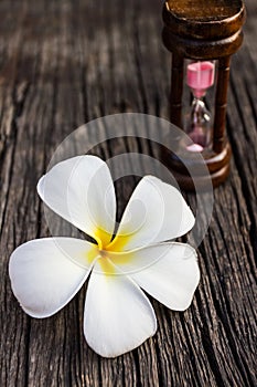 Plumeria or frangipanni blossom on the old wood background.