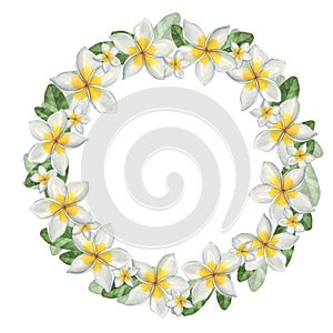 Plumeria. Hawaiian wreath.