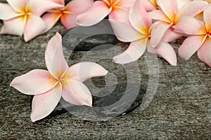 Plumeria in the spa