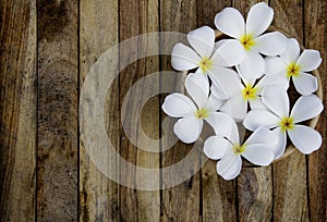 Plumeria on the wood floor background