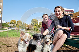 Plump man and cute woman with dogs sitting on children colour stairs in city yard with big buildings background at summer sunny