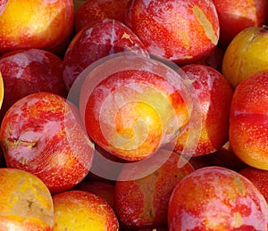 Plums