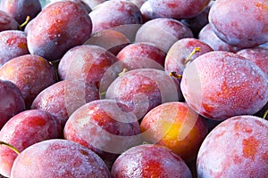 Plums