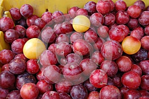 Plums