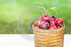 Plums in the basket