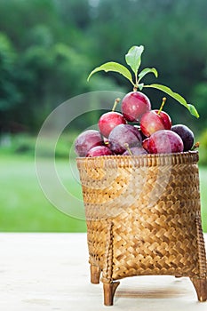 Plums in the basket