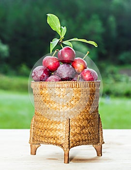 Plums in the basket