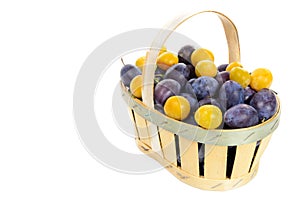 Plums basket isolated