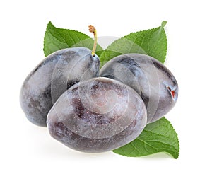 Plums isolated