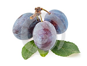 Plums with leaf fruits fruit isolated on a white background