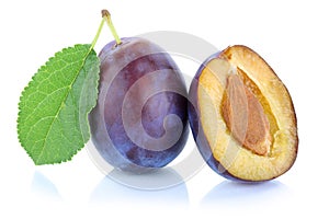 Plums plum prunes prune fresh fruit isolated on white