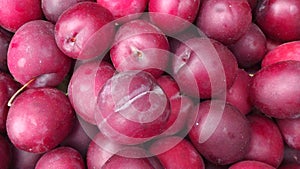 Plums see not one and many plums.