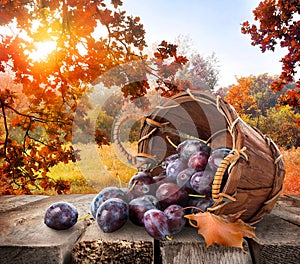 Plums on table