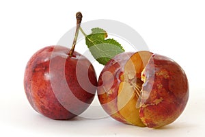 Plums on white background