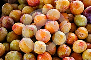 Pluot fruit