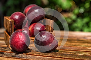 Pluot, mix of plum and apricot in wooden box close