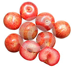 Pluot Plum