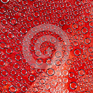 Plurality of air bubbles on a red background photo