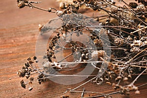 Plurality of organic dried flowers and plants close-up on wooden background photo