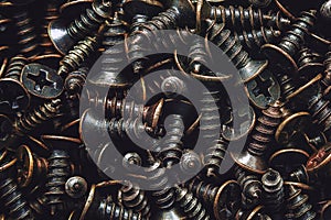 Plurality of screws photo
