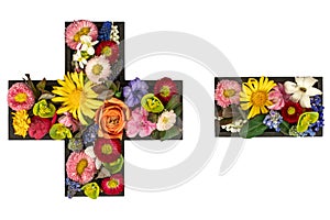 Plus and minus signs made of real natural flowers on transparent background.