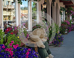 Plush Bear on a Bench on a Flower Lined Street