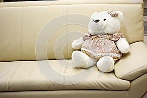 Plush bear on the couch