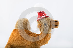 Plush camel in Santa Claus hat on a white background.