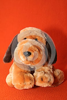 Plush dog #3 photo