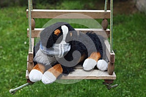 Plush dog on a swing with a medical mask