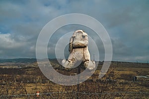 plush old toy sits on a barbed wire fence