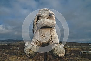 plush old toy sits on a barbed wire fence