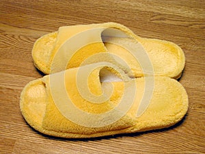 Plush slippers photo